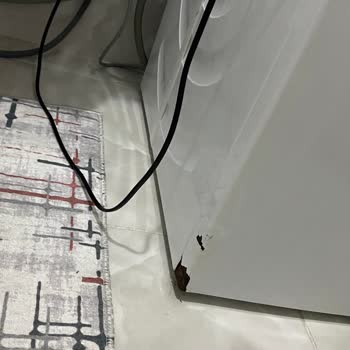 Bosch Washing Machine WAT20480TR/41 Series 6 Model Rusting Problem