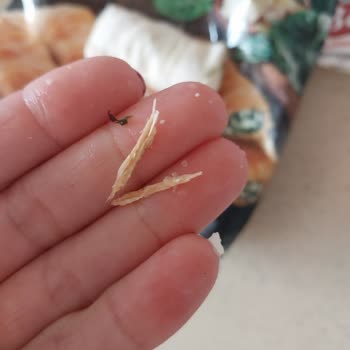 Cihan Tat Donmuş Börekten Ağaç Kıymığı Çıktı