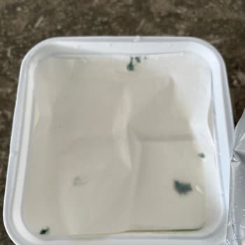 Teksüt Markası Süzme Peynir Küflü Çıktı