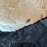 BİM Ekmecik Ekmeği İçinden Böcek Çıktı!