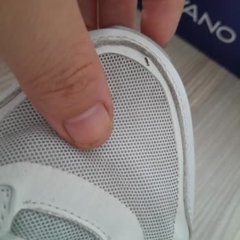 Lumberjack Lütfen Sorunumu Giderin