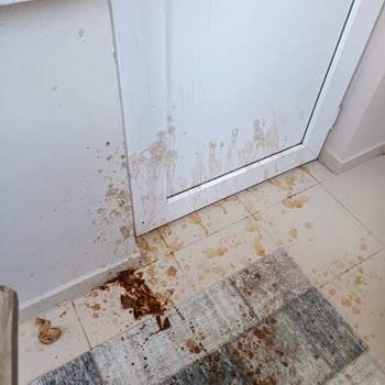 BİM Glass İn Love Cam Fincan Parçalandı