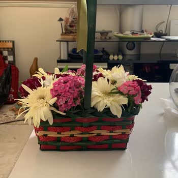 Osevio.com Fotoğraf İle Alakası Bile Olmayan Çiçek!