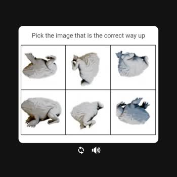 Rockstar Games GTA 5 Üye Olamıyorum