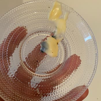 BİM'den Aldığımız Mayonezin İçinden Çıkanlar