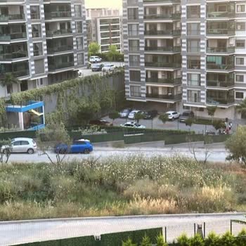 Menemen Belediyesi Uzayan Otların Kesilmemesi!