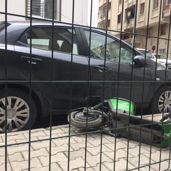 Martı Aracıma Zarar Verdi