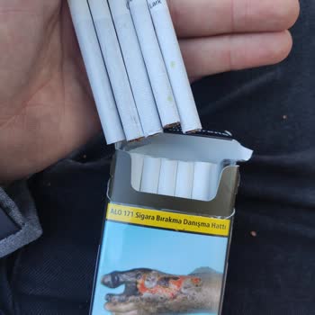 Lark Blue Sarı Leke