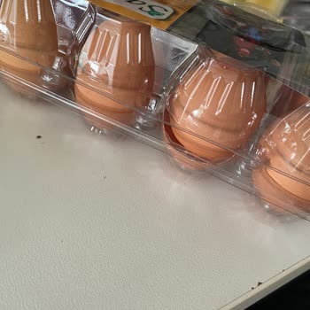 Yemek Sepeti Sipariş Teslimi Rezaletliği