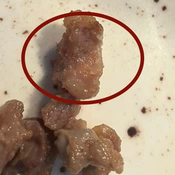 Carrefour SA Sağlığa Zararlı Ürün Satılması Etlerin Üzerinde Kıl Bulunması