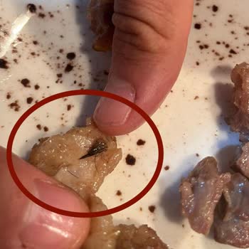 Carrefour SA Sağlığa Zararlı Ürün Satılması Etlerin Üzerinde Kıl Bulunması