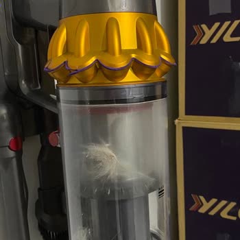 Dyson V15 Toz Haznesi Problemi