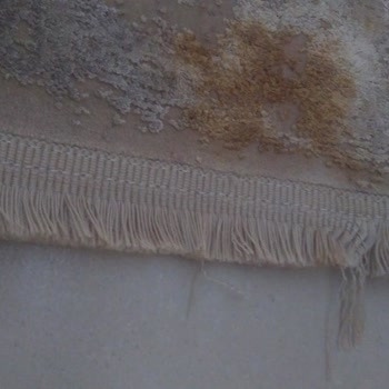 Pierre Cardin Halı Hiçte Tahmin Ettiğimiz Gibi Değilmiş