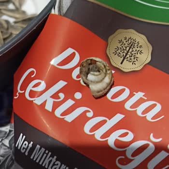 Çerezya Paketten Salyangoz Kabuğu Çıktı