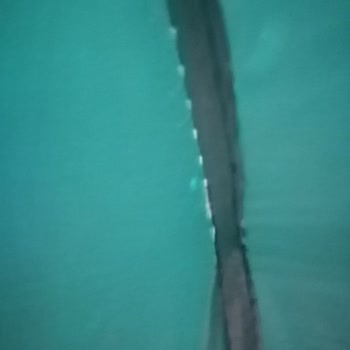 Carrefour SA 1500 TL Çadır Hatalı Ürün