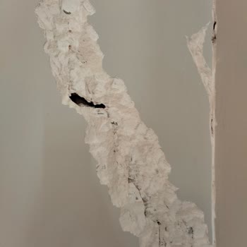 Avrupa Konutları 4b Artaş İnşaat Derin Duvar Çatlakları