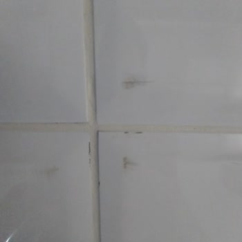 Bien Seramik Defolu Ürünler Satıyor Ve Bilgilendirmiyor