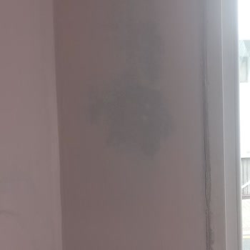 Marshall Fit İç Cephe Boyası Dan Mağdurum