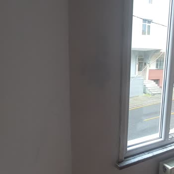 Marshall Fit İç Cephe Boyası Dan Mağdurum