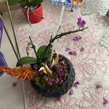 ÇiçekSepeti Solgun Çiçek Gönderildi