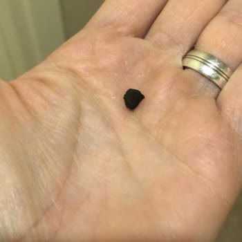 Kiper Pastanesi Pastadan Taş Çıkması