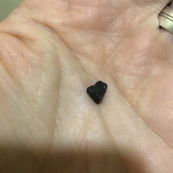 Kiper Pastanesi Pastadan Taş Çıkması