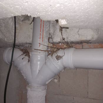 Anadolu Sigorta Yanlış Ve Asılsız Beyanla Bina Yönetimine Ceza Kesmiş