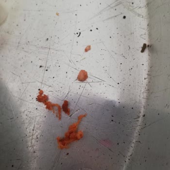 Mevlana Pide Yeşiltepe Lahmacunun İçinden Çıkanlar!