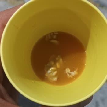 Cappy Atom Bozuk Küflü Ürün