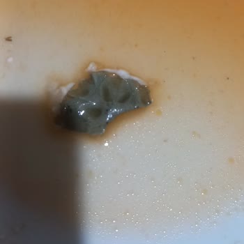 Cappy Atom Bozuk Küflü Ürün