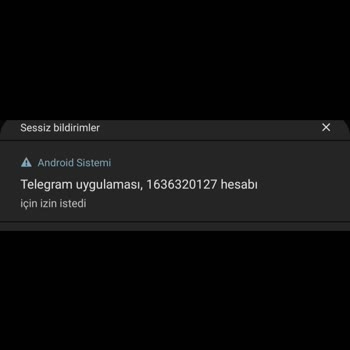 Telegram Hesabım Alınmaya Çalışılıyor