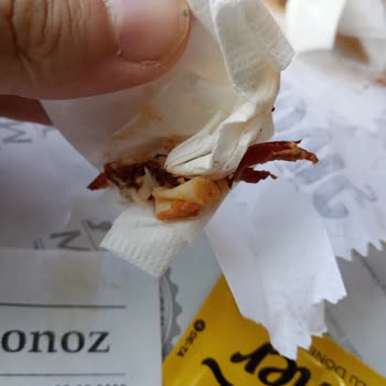 Maydonoz Döner Maydanoz Dönerden Çıkan Boğazı Yırtıp Geçen Sert Etimsi Şeyler