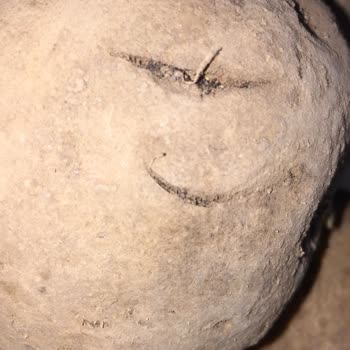 A101 Kusurlu Ürün Satışı Yapıyor