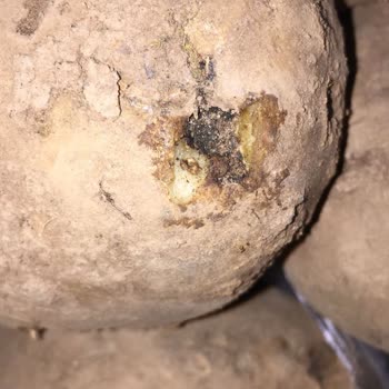 A101 Kusurlu Ürün Satışı Yapıyor