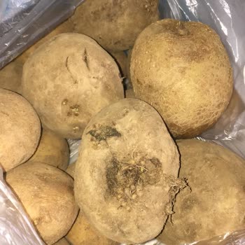 A101 Kusurlu Ürün Satışı Yapıyor