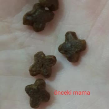 VanCat Market Orijinalliği Şüpheli Mama Gönderiyor