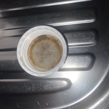 Arı Mucizesi Bactolac Kapaktaki Kağıt İçinde Erimiş