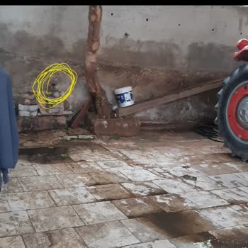 Honaz Belediyesi Hayvan Pisliğinden Bıktım
