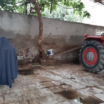 Honaz Belediyesi Hayvan Pisliğinden Bıktım