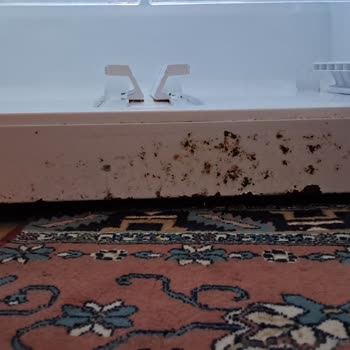 Vestel Akıllı NFY620P Buzdolabın Alt Kenar Kısmı Paslandı