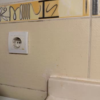 Ankara Şelale Temizlik Şirketinden Parasını Ödeyip Alamadığım Hizmet