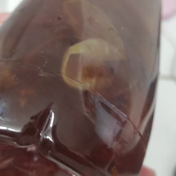 Fuse Tea Şeftali Pet Şişenin İçerisinde Yüzen Tuhaf Şeyler Var.