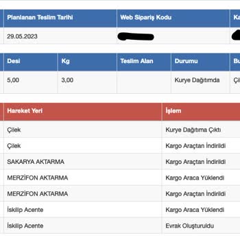 Yine Sürat Kargo, Yine Hüsran.