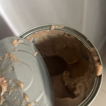 Dardanel Jazzy Yaş Kedi Maması Ton Balıklı 400gr Ürünü Hakkında Şikayetim Var