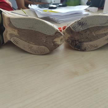 Sportive Nike Air Zoom Alphafly Next Nature Ayakkabı Değişimi