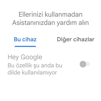Google Asistan Ses Algılamıyor