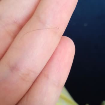 Sarelle Kahvaltılık Çikolatada Kıl Sorunu