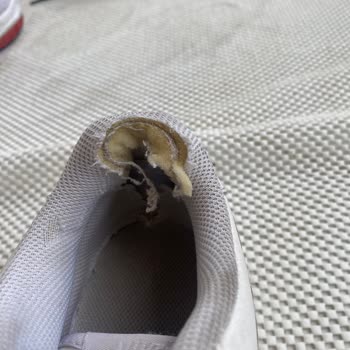 Sneaks Up Ayakkabımı Reddettiler