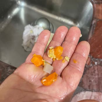 Bosch Küçük Ev Aleti (blender) Şikayeti