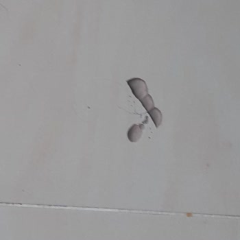 İncek TOKİ 1. Etap Duvar Patlaması Balkon Fayans Kırılması